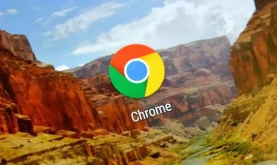如何在Google浏览器中提高页面显示的速度