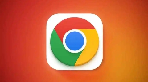 如何在Google Chrome浏览器中查看插件详细信息