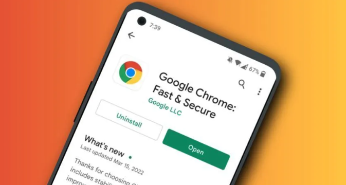 Google浏览器在远程桌面环境下载失败的解决建议